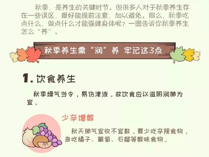 不同季节养生要点概览