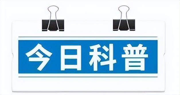 2024年12月2日 第9页