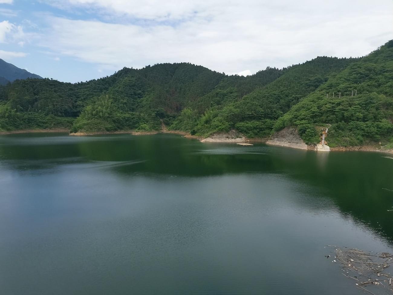 湿地保护成效显著，生态环境治理成果深度解析