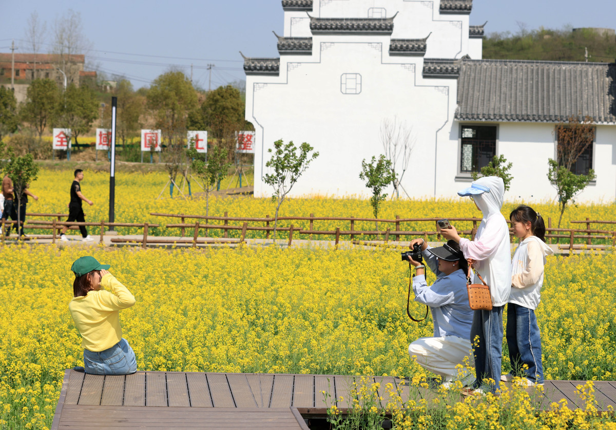 多地推行乡村游，激活农村经济新活力