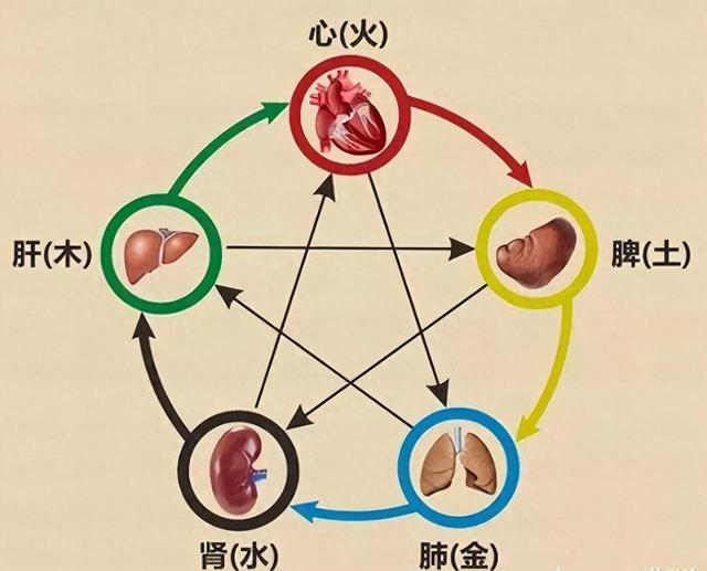 夏七言 第18页