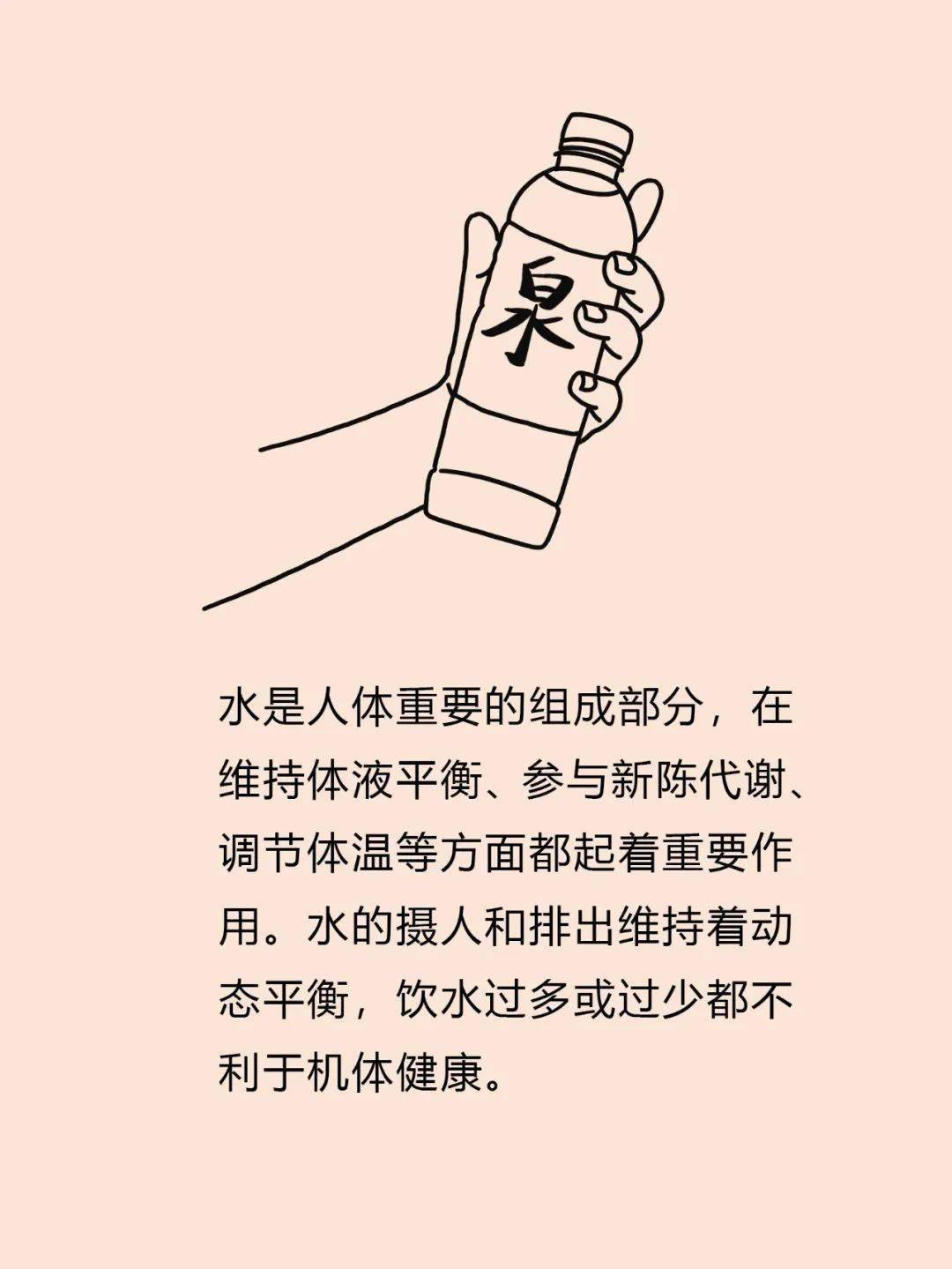 每日饮水八杯的科学依据与健康效益探讨