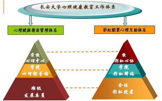 学校心理健康服务体系的建设与完善，实施路径与策略探讨