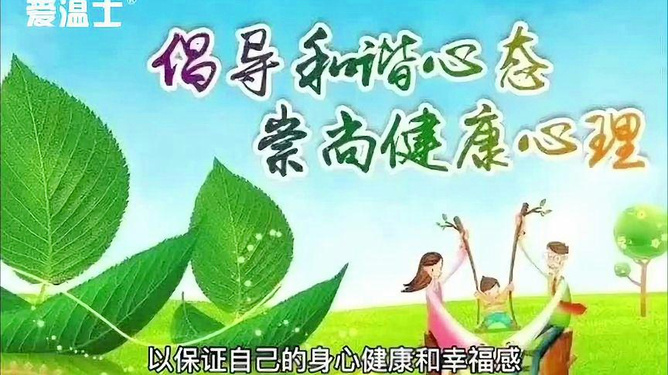 快节奏生活中的健康与高效平衡之道