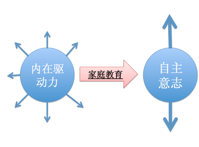 如何通过教育科技激发孩子的学习主动性