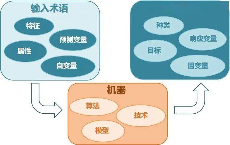 智能学习算法，提高学生自学能力的关键所在