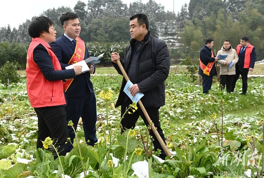 警惕日常金融诈骗，识别常见欺诈手段与应对策略