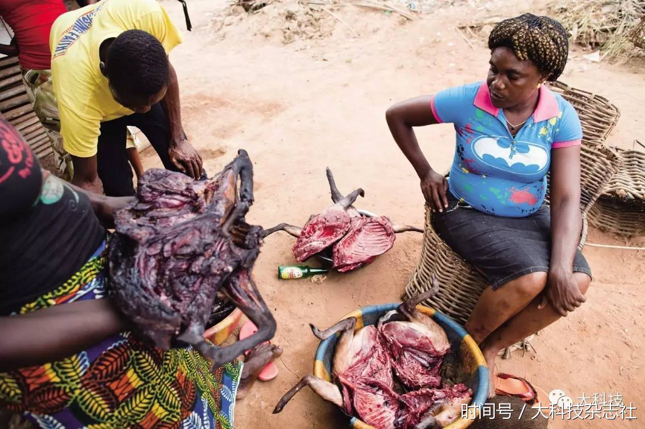 东非原始风味烤肉独特体验之旅