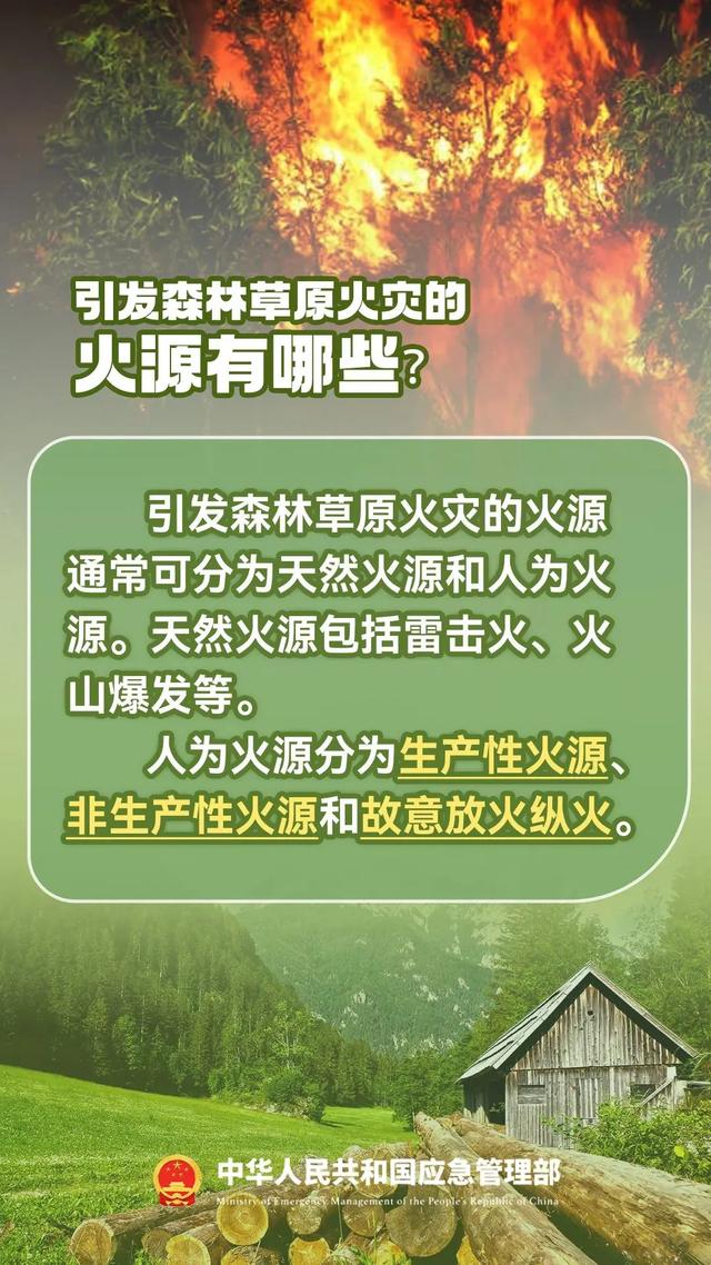 森林火灾频发背后的原因及应对策略