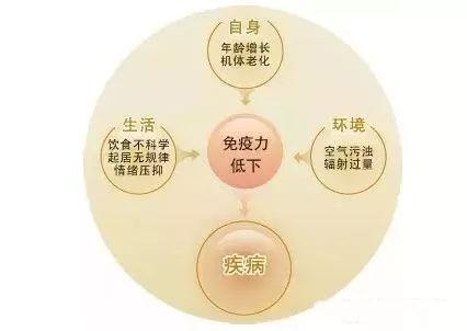 疫情后提升免疫力的关键策略