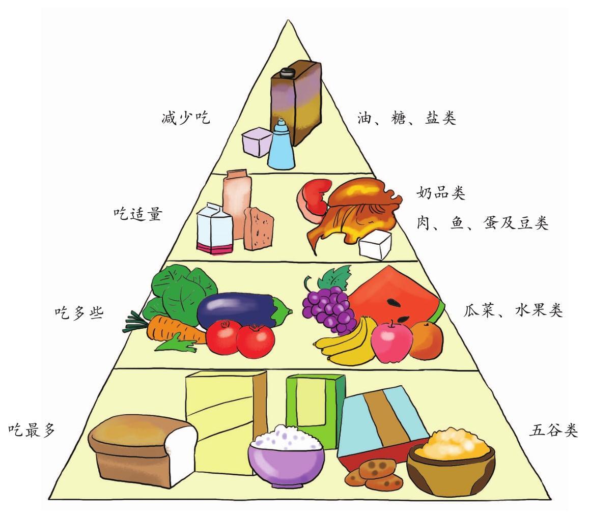 实用方法，调整家庭饮食结构指南