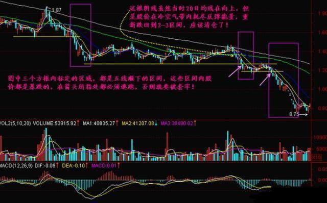 三肖必中三期必出凤凰网,平衡策略实施_U40.123