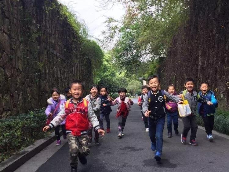 当代城市化进程中乡村地区的生存策略探究