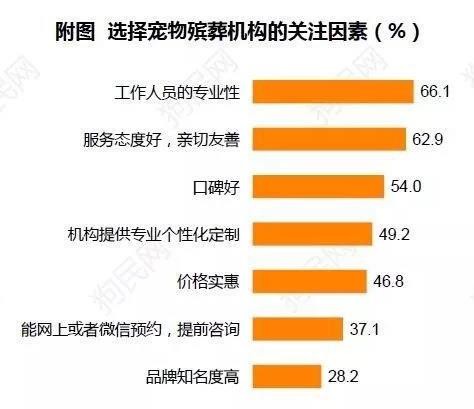 宠物医疗行业现状与费用高涨的挑战，行业标准存争议