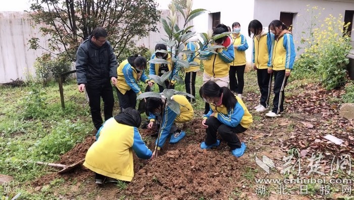 校园农田教育项目推动，学生环保意识大幅提升