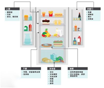 科学分区储存肉类，让冰箱管理更高效！