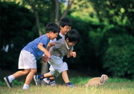 家庭与学校携手引导，孩子与小伙伴的友好相处之道