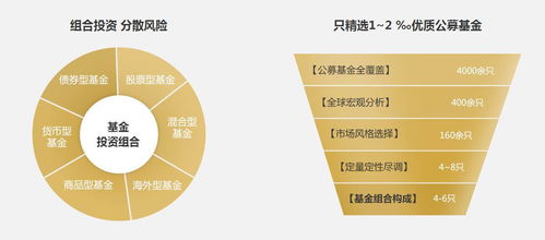 家庭理财策略，分散投资降低风险之道