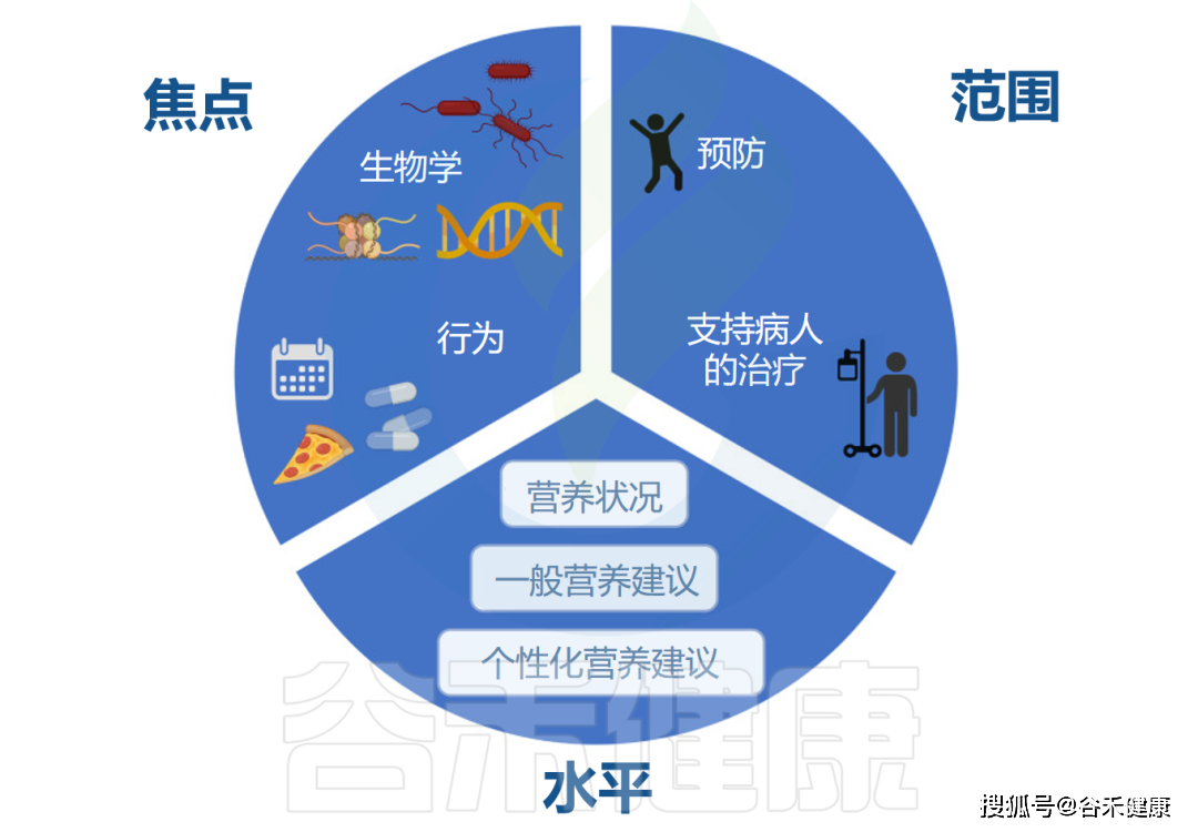 改善饮食习惯降低慢病风险策略