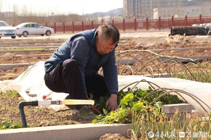 共享经济中的利益冲突平衡之道