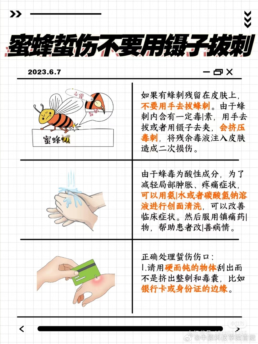 蜂蜇伤紧急处理与家庭急救指南