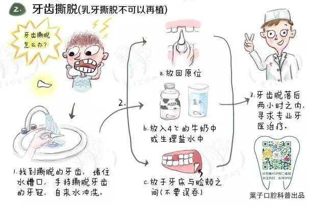 家庭急救指南，如何应对牙齿突发脱落情况