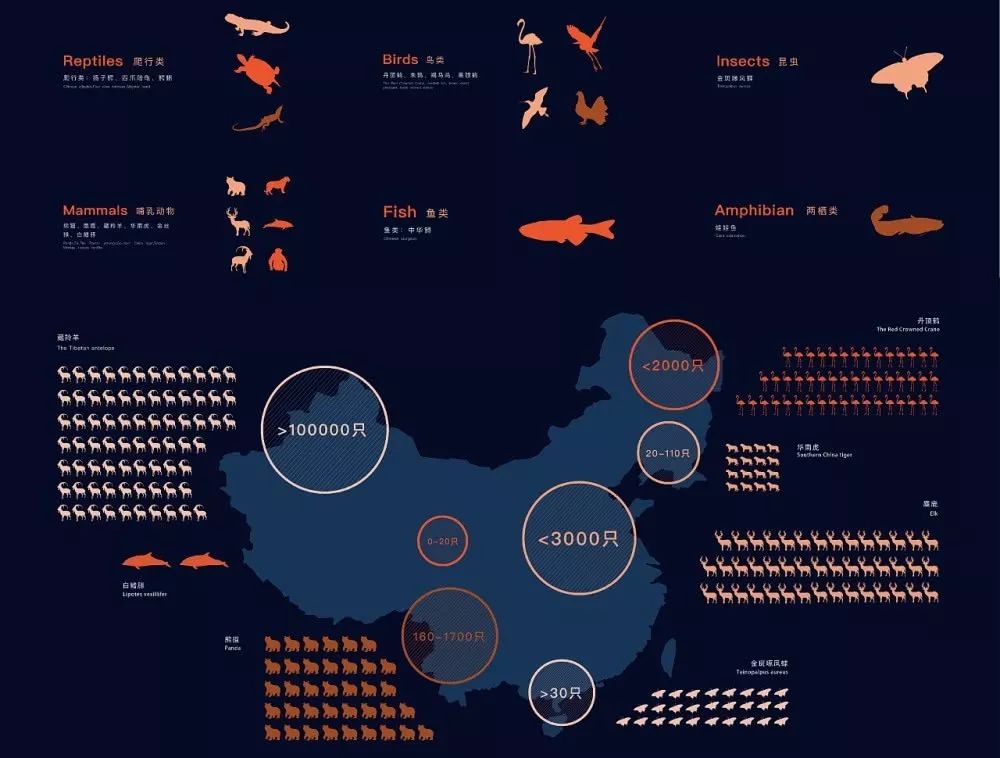 AI技术助力濒危动物栖息地保护策略