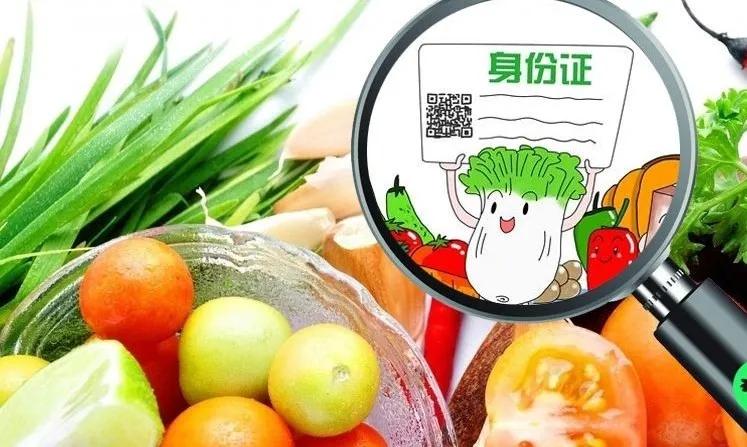 食品可追溯系统，构建公众食品安全信任的关键之道