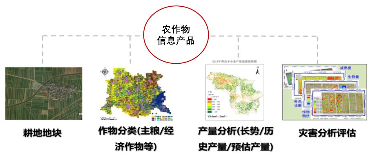 遥感技术在农业生产中的创新应用实例