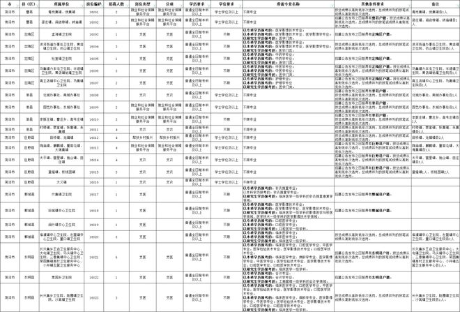 高校毕业生就业帮扶计划助力青年人才稳健起步之路