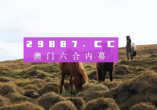 澳门开奖结果与生肖彩票的探秘之旅