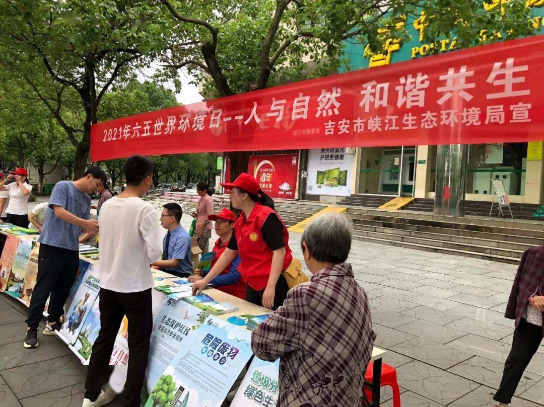 探索彩票世界奥秘，二四六香港天天开彩大全