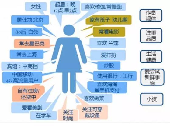 智能评估系统优化教育资源分配策略