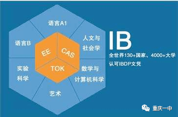 开设全球化课程，助力学生国际视野拓展