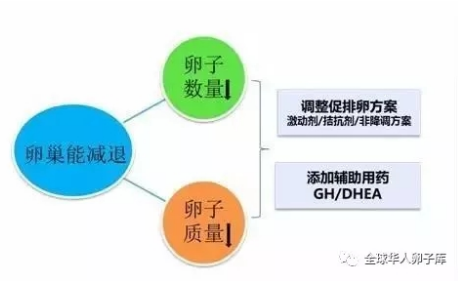 蒋俊侠 第14页