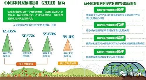 城市化进程中乡村教育与健康服务的协同发展策略探究