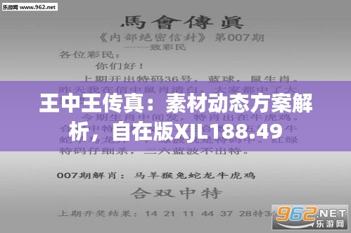 7777788888王中王传真,安全解析策略_pack33.590