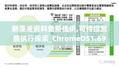 新澳准资料免费提供,现状解析说明_ChromeOS65.128