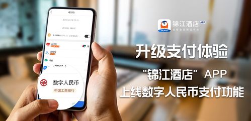 数字人民币App上线数字身份，重塑支付生态与隐私融合新篇章