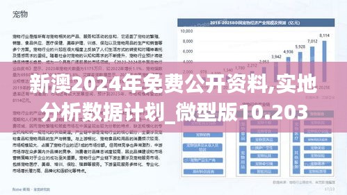 2024新澳精准资料免费,迅速设计解答方案_领航版78.608