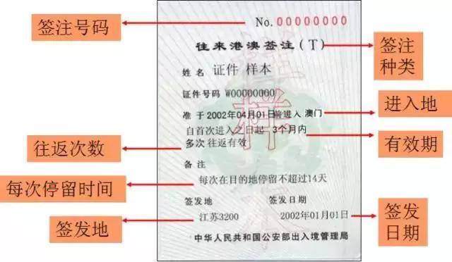 2024年12月16日 第99页