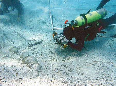 水下考古机器人助力古迹探测，古代遗迹探测效率大幅提升