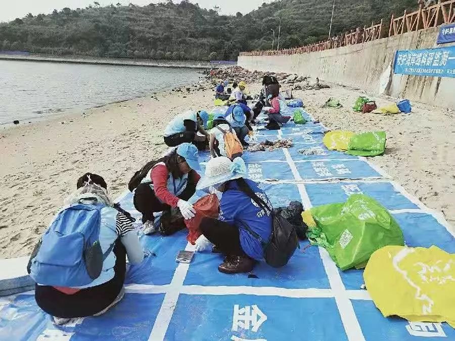 全球海洋垃圾监测平台正式启用，开启科技助力环保治理新纪元