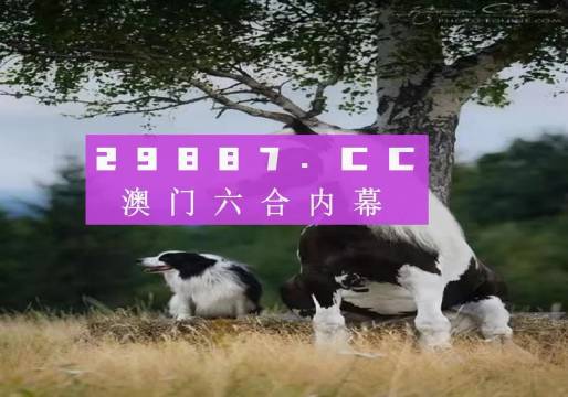 澳门跑狗,迅速执行计划设计_潮流版85.395