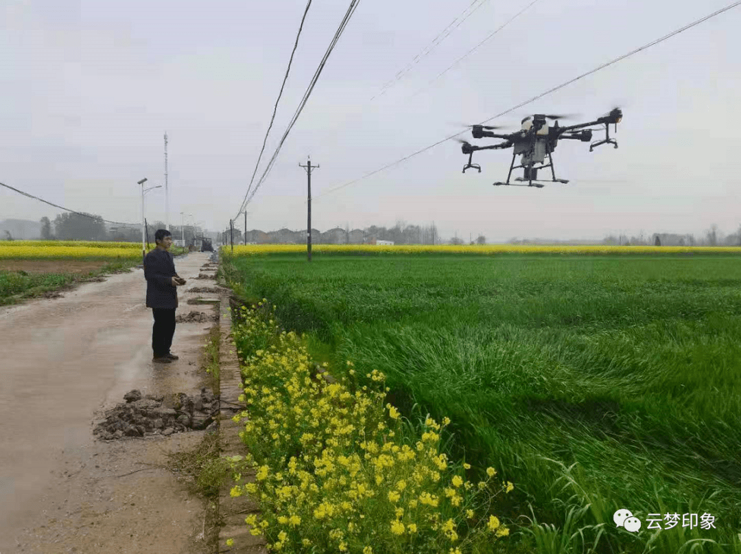 无人机植保技术推广助力农业效率飞跃提升