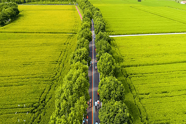 生态旅游中的绿色科技实践探讨