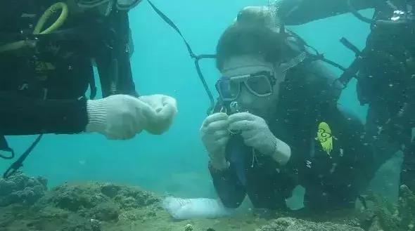 科技助力海岛旅游生态环境保护