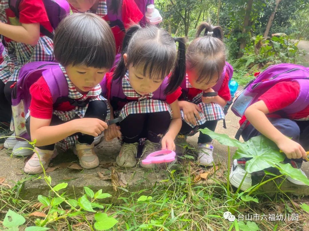 蒋俊侠 第8页