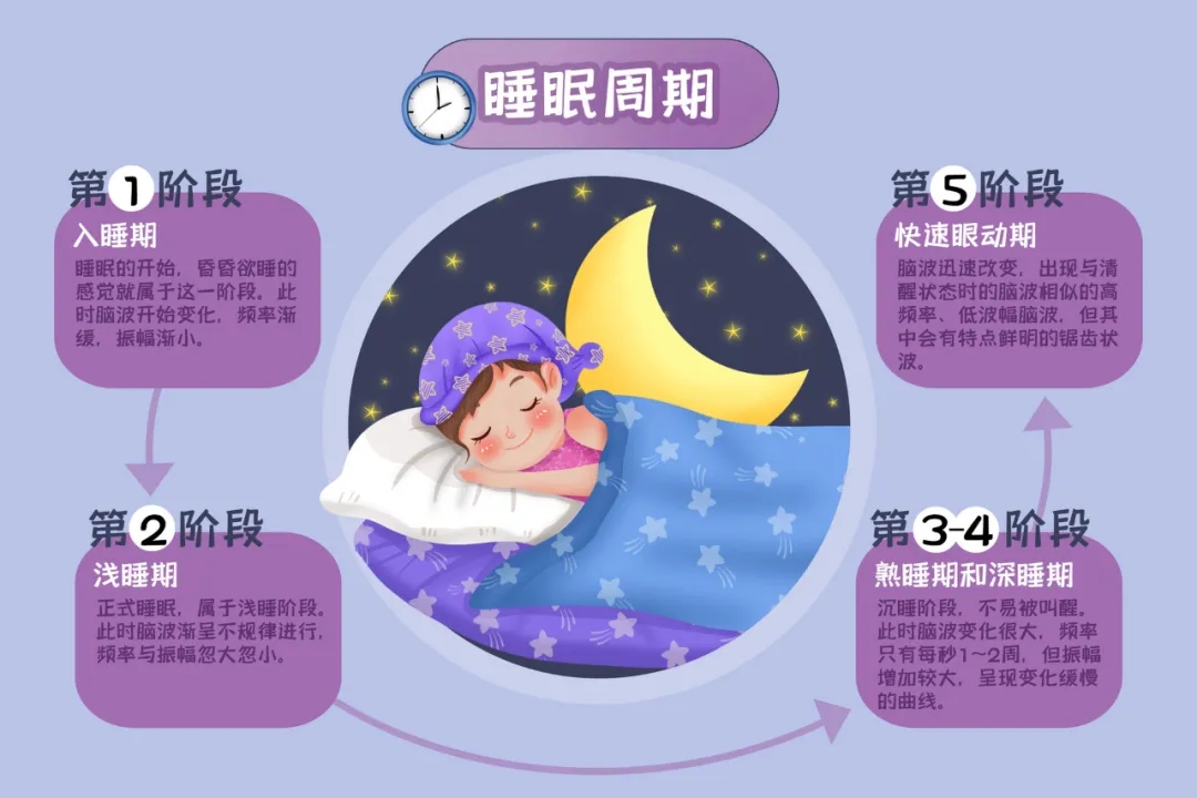 睡眠规律对早教效果的影响研究