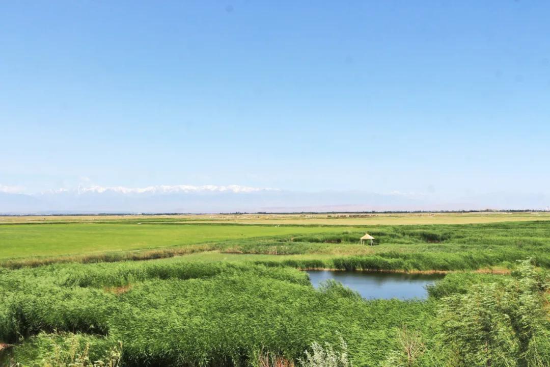 多地推行乡村游，激活农村经济新活力